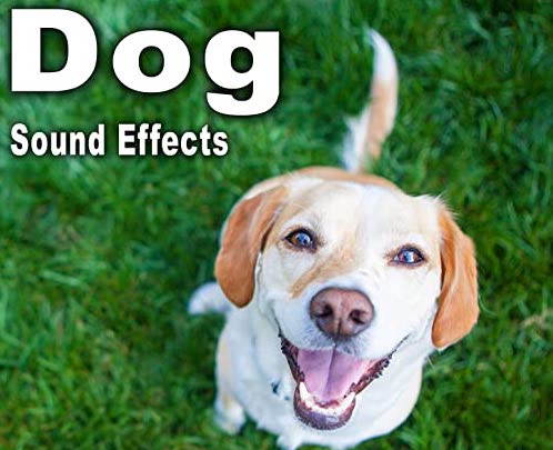 狗狗音效: Dog Sound Effects FLAC
